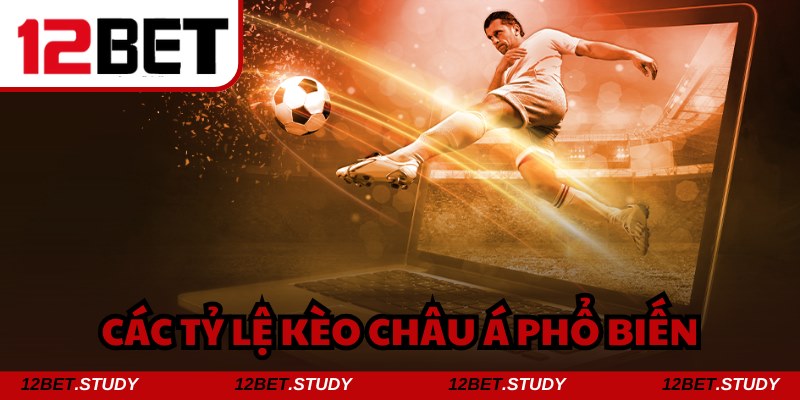 Hiểu rõ về cách đọc để có trải nghiệm ưng ý nhất 2025